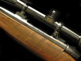 Weatherby MkV 257 Mint - 4 of 5