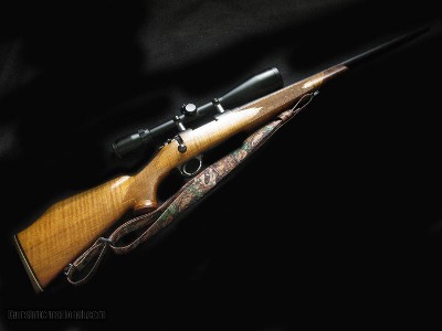 Custom Sako L461 223