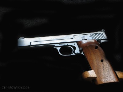 Smith & Wesson 41 22lr Target