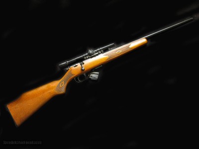 Marlin 25MN 22WMR Scoped