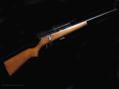 Higgins/Marlin 42 22LR Scoped 