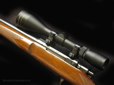Sako Forester 243 Pre Garcia Varmint - Image 5 of 5
