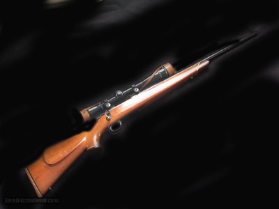 Custom Sako 22-308 Leftie