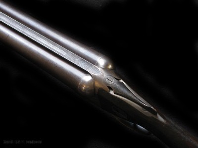 W.W. Greener BLNE 12ga F Damascus Waterfowler - Image 5 of 5