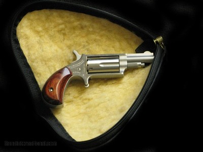 NAA Mini 22 Mag Stainless