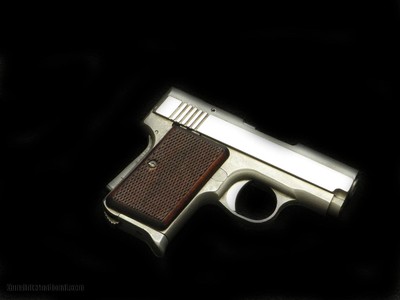 AMT Backup
Stainless 380