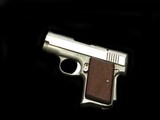 AMT Backup
Stainless 380 - 2 of 2