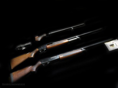 Winchester 1200 20ga Vent Rib