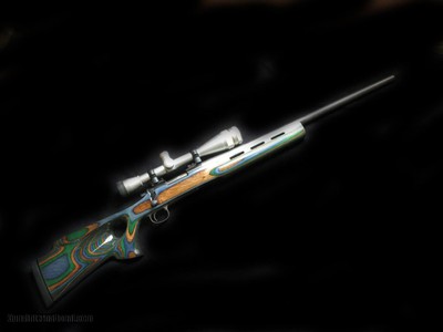 Custom Rem 40-X 20 Vartarg