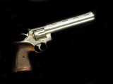 Colt Python Nickel Target 8