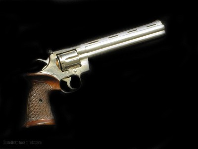 Colt Python Nickel Target 8