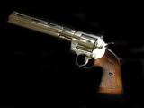 Colt Python Nickel Target 8