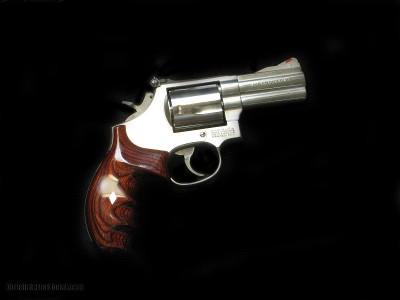S&W 696 44 spl 3 incher