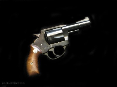 Charter Arms Bulldog 3