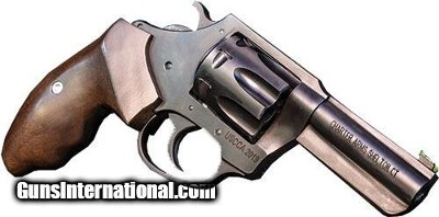 Charter Arms 