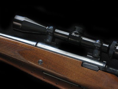 Burris Fullfield II 3-9 Compact