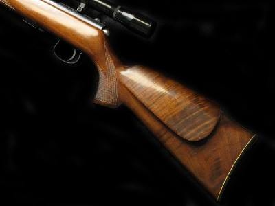 Savage Anschutz 141 