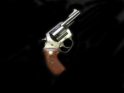 Charter Arms 44 Special Bulldog Blued 3 incher