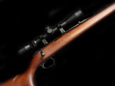 Remington 592M 5mm Rifle Scoped - Image 2 of 5