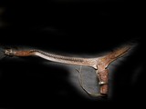 Fancy Buscadero Rig44 Waist 44/45 loops - Image 1 of 2