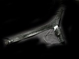 Heavy duty tooled Buscadero Belt 40 waist 357 loops - Image 1 of 2