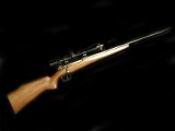 Mauser 1909 22-250