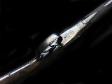 Greener Royal Tang Safety 12ga 30" - Image 3 of 5