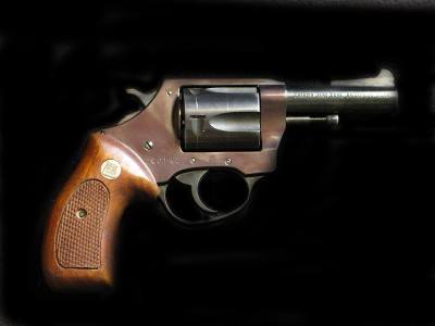 Charter Arms Bulldog 44- Image 1 of 2