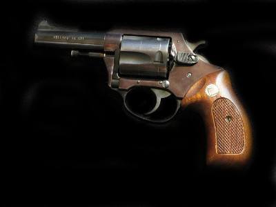 Charter Arms Bulldog 44- Image 2 of 2