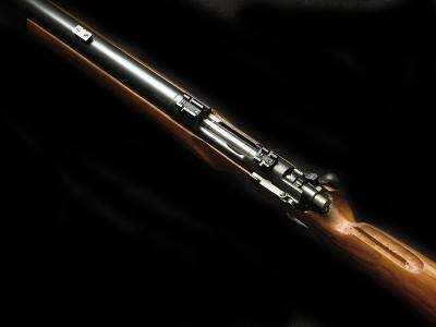 Enfield (ERA) Custom 22-250 Heavy Barrel - Image 5 of 5