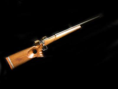 Enfield (ERA) Custom 22-250 Heavy Barrel - Image 1 of 5
