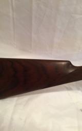 RENATO GAMBAOXFORD 20ga - 6 of 11