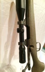 BANSNER ULTIMATE OVIS - 5 of 7