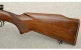 Winchester Model 70 Varmint, Pre '64 .243 Winchester - 7 of 9