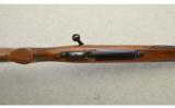 Winchester Model 70 Varmint, Pre '64 .243 Winchester - 3 of 9