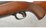 Winchester Model 70 Pre-64 Featherweight
.243 Winchester - 8 of 8