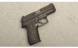 Sig Sauer Model P229 Double Action Only .40 Smith & Wesson, Night Sights - 1 of 2