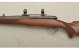 Winchester Model 70 Pre-64, .264 Winchester Magnum - 4 of 8