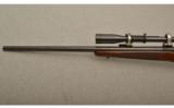 Winchester Model 70 Varmint Pre-64, .243 Winchester, Heavy Stainless Barrel - 6 of 9