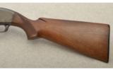 Winchester Model 50 with Cutts Compensator, 12 Gauge - 7 of 7