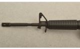 Bushmaster Model XM15-E2S, Flat Top with Carry Handle - 6 of 7