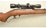 Winchester Model 88 Carbine .308 Winchester - 2 of 7