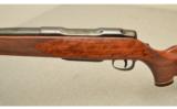 Colt Sauer Grand African .458 WIN MAG - 4 of 7