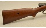 Winchester Model 74 .22 LR 24