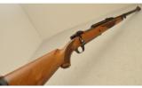 Ruger Model M77 Magnum .416 Rigby 24