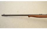 Remington Model 24 .22 Short 19