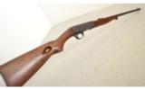 Remington Model 24 .22 Short 19