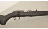 Ruger Model American .22 LR 18