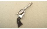 Ruger Model Vaquero
45 Long Colt
5 1/2