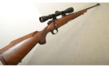 Winchester Model 70 .243 Winchester 24
